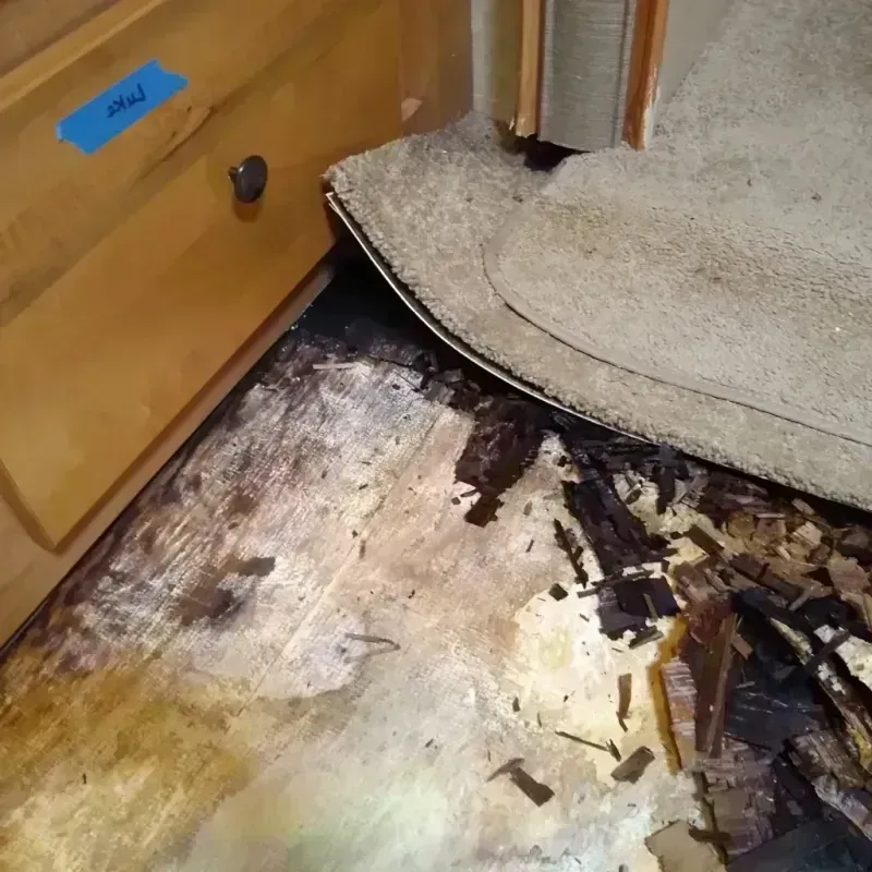 Best Wood Floor Water Damage Service in Peapack, NJ